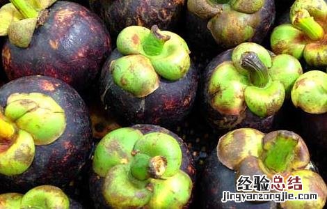山竹里面的核能吃吗 山竹里面那个核能吃吗