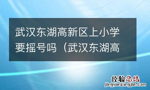 武汉东湖高新区小学入学政策 武汉东湖高新区上小学要摇号吗