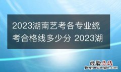 2023湖南艺考各专业统考合格线多少分 2023湖南艺考各专业统考合格线多少分能上