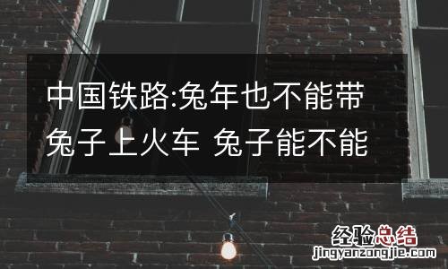 中国铁路:兔年也不能带兔子上火车 兔子能不能上火车?