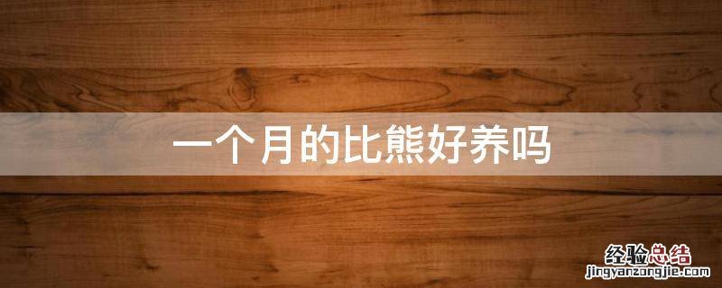 比熊一个半月好养吗 一个月的比熊好养吗