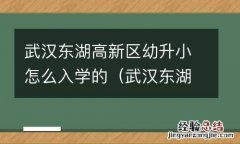 武汉东湖高新区小学入学政策 武汉东湖高新区幼升小怎么入学的