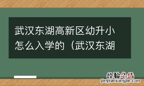 武汉东湖高新区小学入学政策 武汉东湖高新区幼升小怎么入学的