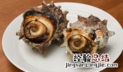 怎么做炒大海螺 炒大海螺的做法视频