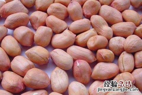 花生如何保存 不长黄曲霉素 花生如何保存