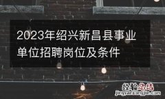 2023年绍兴新昌县事业单位招聘岗位及条件