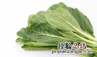 芥菜苗怎么做好吃 芥菜怎么做好吃视频