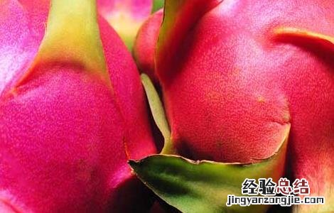 火龙果是凉性的吗 火龙果是凉性的吗来月经可以吃吗