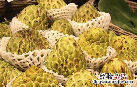 番荔枝啥时候成熟 番荔枝什么时候成熟