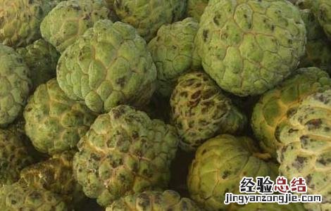 释迦果怎么催熟 释迦果怎么催熟快一点