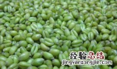 燕麦仁的功效与作用 青麦仁的功效与作用