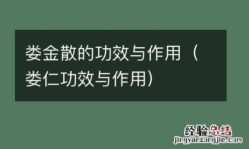 娄仁功效与作用 娄金散的功效与作用