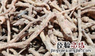 鸡骨香的功效与作用图片 泡酒 鸡骨香的功效与作用