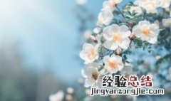 春天的谚语是什么意思 春天的谚语是什么?