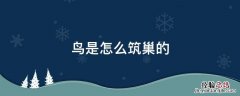 鸟是怎么筑巢的 鸟是怎样建巢的