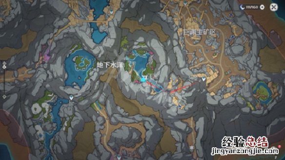 原神浮游生物 原神浮游水蕈兽位置