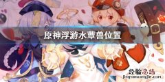 原神浮游生物 原神浮游水蕈兽位置