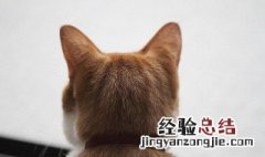 后脑勺长包是怎么回事不疼不痒 后脑勺长包是怎么回事