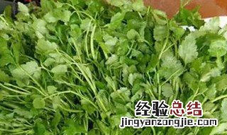 水芹菜怎么苦的能吃 水芹菜怎么苦的