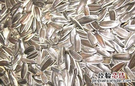 瓜子是不是坚果 瓜子是不是坚果类食物