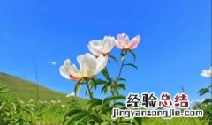 六月是什么季节 四到六月是什么季节