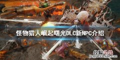 怪猎崛起 曙光 怪物猎人崛起曙光DLC新NPC是谁