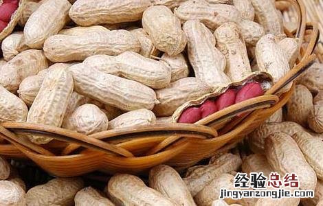花生是不是坚果中蛋白质最高 花生是不是坚果