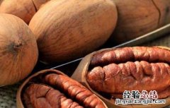 碧根果怎么挑选才甜 碧根果怎么挑选