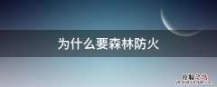 为什么要森林防火 为什么要森林防火的作文800字左右