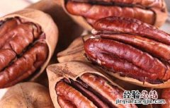 碧根果的产地在哪里 碧根果产地是哪里