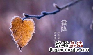 霜降以后天气是不是冷了 霜降后会冷吗