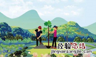 中国的植树节是哪一天? 中国的植树节是哪一天