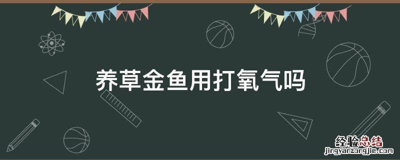 养草金鱼用打氧气吗 草金鱼用不用打氧气