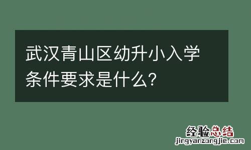 武汉青山区幼升小入学条件要求是什么？