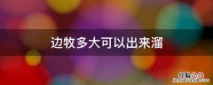 边牧几个月能带出去溜 边牧多大可以出来溜