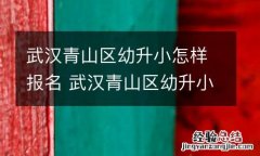 武汉青山区幼升小怎样报名 武汉青山区幼升小怎样报名的