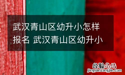 武汉青山区幼升小怎样报名 武汉青山区幼升小怎样报名的