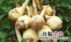 茨菇怎么去皮 茨菇怎么去皮,视频