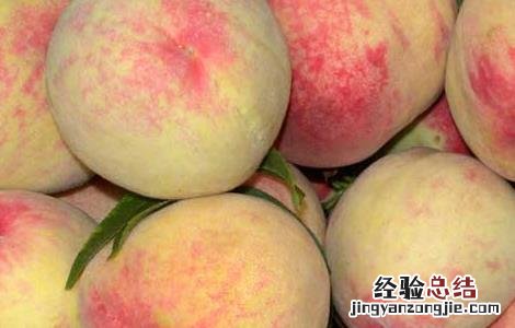 桃的主要产区 桃的产地分布