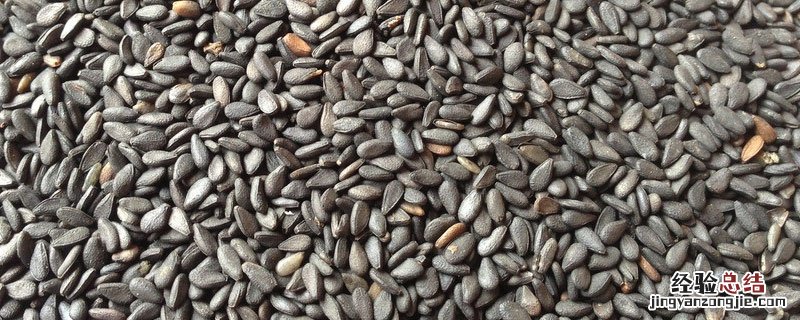 芝麻属于什么类 芝麻属于什么类食品