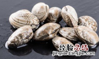 清酒蛤蜊汤怎么做好吃 清酒蛤蜊汤怎么做