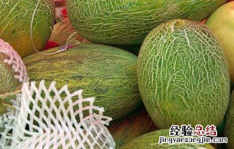 哈密瓜的产地分布 哈密瓜的主要产地