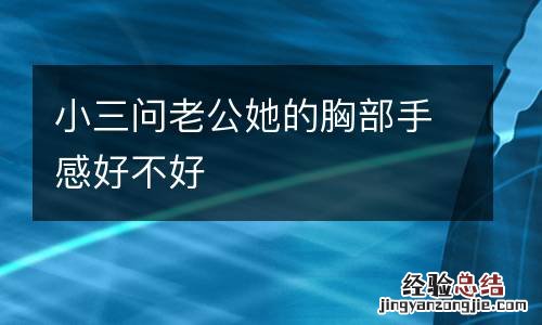小三问老公她的胸部手感好不好