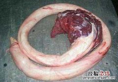 干牛鞭泡发的正确方法，牛鞭的功效 怎样泡发干牛鞭