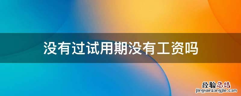 没有过试用期没有工资吗 试用期没有工资嘛