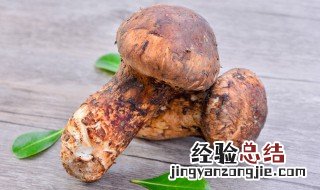 松茸怎么保存最好 松茸怎么保存最好?