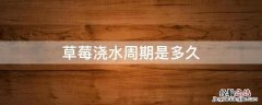 草莓浇水周期是多久 草莓种植多久浇水一次