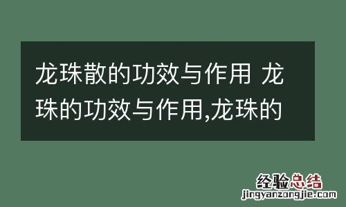 龙珠散的功效与作用 龙珠的功效与作用,龙珠的副作用