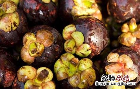 山竹什么季节成熟最好 山竹什么季节成熟