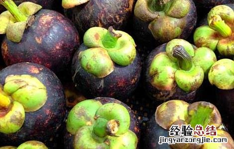 山竹什么季节成熟最好 山竹什么季节成熟